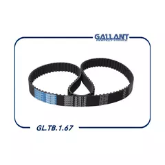 Ремень грм Gallant GLTB167 - Gallant арт. GLTB167