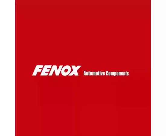 Свечи зажигания Ford Focus 98-, Mondeo 93-15 FENOX S14221